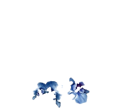 Valley Dolor — Tranquility Redefined